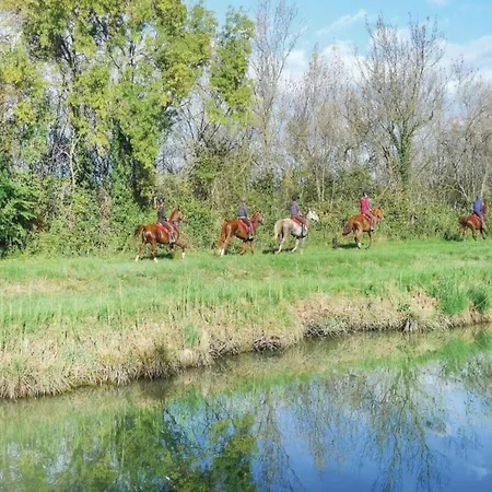 In With Marina View, Cleaning Included Villa Aigues-Mortes